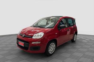 FIAT Panda Pandina 1.0 FireFly 65 CV Hybrid Icon