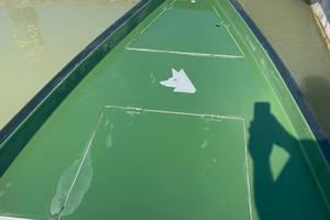Barca pesca Wolfcraft 6,30m, motore Yamaha