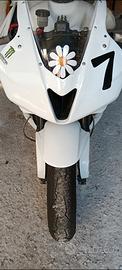 Honda cbr 600rr