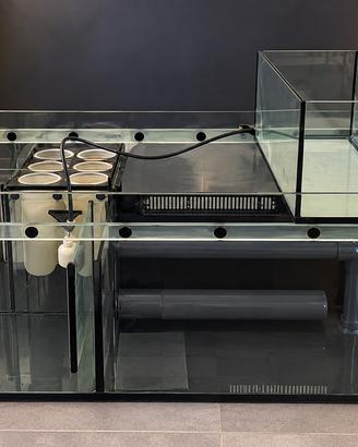 Sump acquario marino