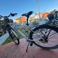 Bicicletta elettrica