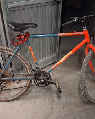 bici Mountain bike misura 26