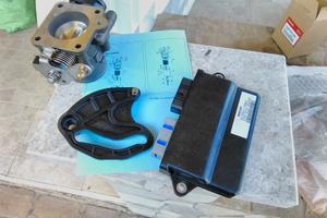 Kit centralina e gruppo farfallato Honda 40 hp 4t