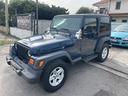 jeep-wrangler-2-5-cat-connection