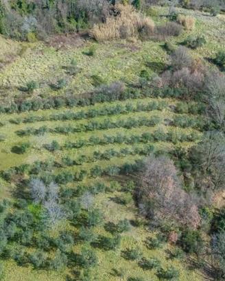 Terreno di 5630 m² a Montenero Sabino