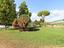 Immagine 25