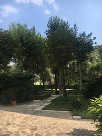 Camera Singola in condominio con vista parco