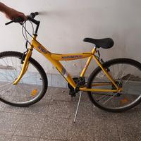 bicicletta mountain bike 