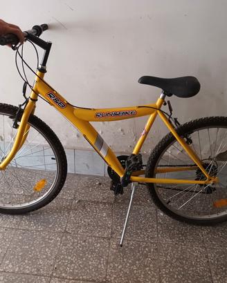 bicicletta mountain bike 