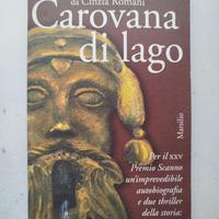 Carovana di lago - Tanturri