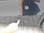 Immagine 15