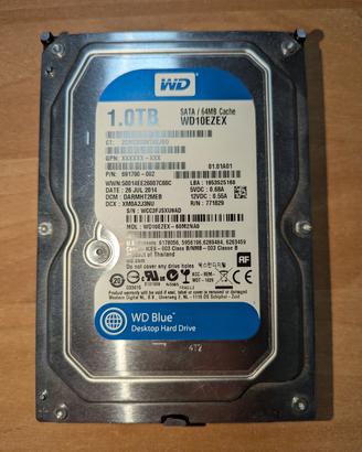 Hard disk HD Western digital blu 1TB