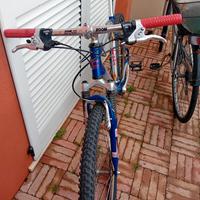 mountain bike cup's 26