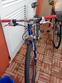 mountain bike cup's 26