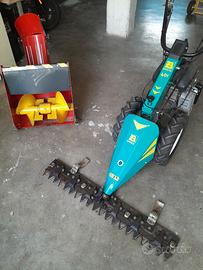 Tagliaerba Bertolini