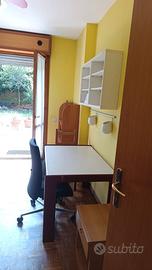 Stanza ad uso singola a studentessa mm blu frattin
