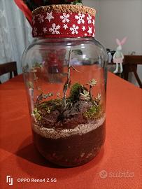 terrario piante e fiori 