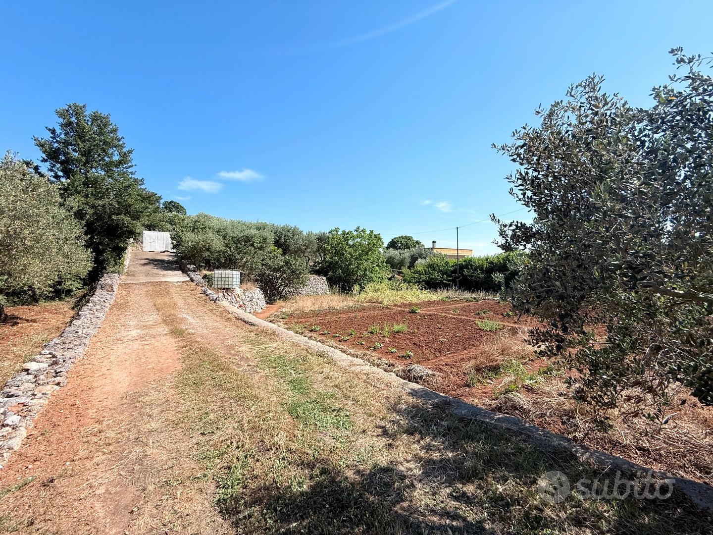 Terreno agricolo - Vista 2