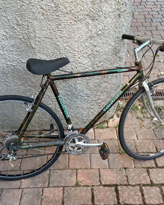 Bicicletta ragazzo/uomo montain bike