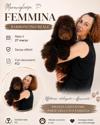 Meravigliosa femmina di Barbone Reale