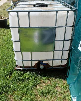 cisterna acqua 1000 litri 