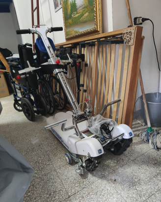 Montascale per invalidi e anziani