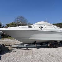 Sea Ray 250 Sundancer