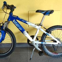 bicicletta mtb bambino