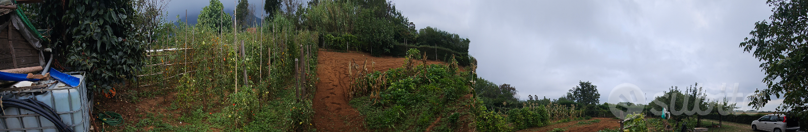 Terreno agricolo (Orto) - Altro