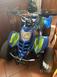 Quad Yuma 110cc