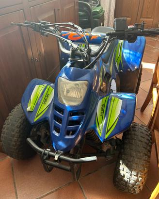 Quad Yuma 110cc