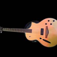 Ibanez MSC 350 Acoustic Hybrid Guitar