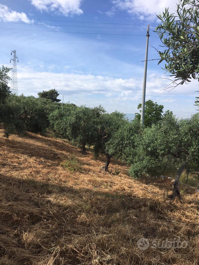 Terreno agricolo - Vista 3