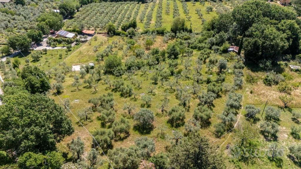 Terreno di 5460 m² a Salisano - Vista 4