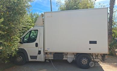 Ducato frigorifero 2009