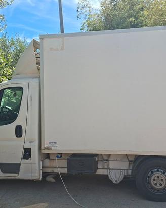 Ducato frigorifero 2009