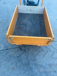 Motocariola cingolata