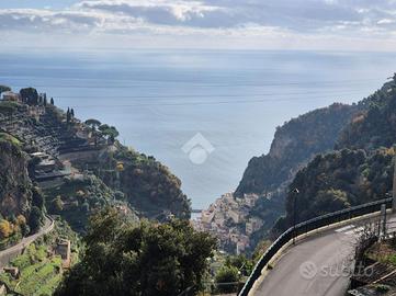 TER. AGRICOLO A SCALA