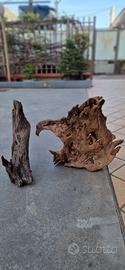 legni secchi per decorazioni Acquario 