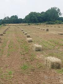 terreno agricolo