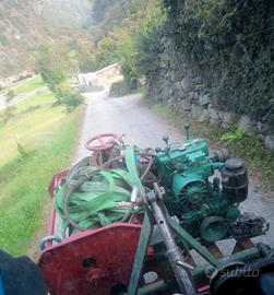argano forestale 