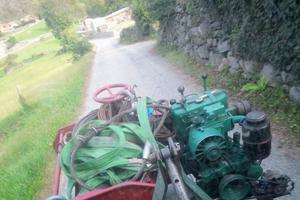 argano forestale 