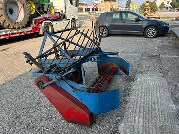 cava radicchi da 1,45m