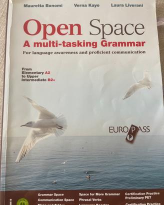 Granmatica inglese