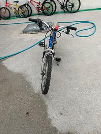 Bicicletta