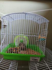 Criceti piu gabbia con accessori