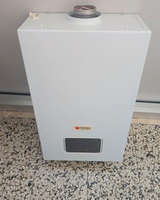 Scaldabagno a gas Herman Saunier Opalia F 15/1