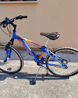 bicicletta 