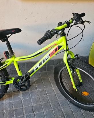 Bici Aurelia telaio 20 Fat-bike