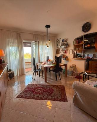 3 LOCALI A SANTA MARINELLA